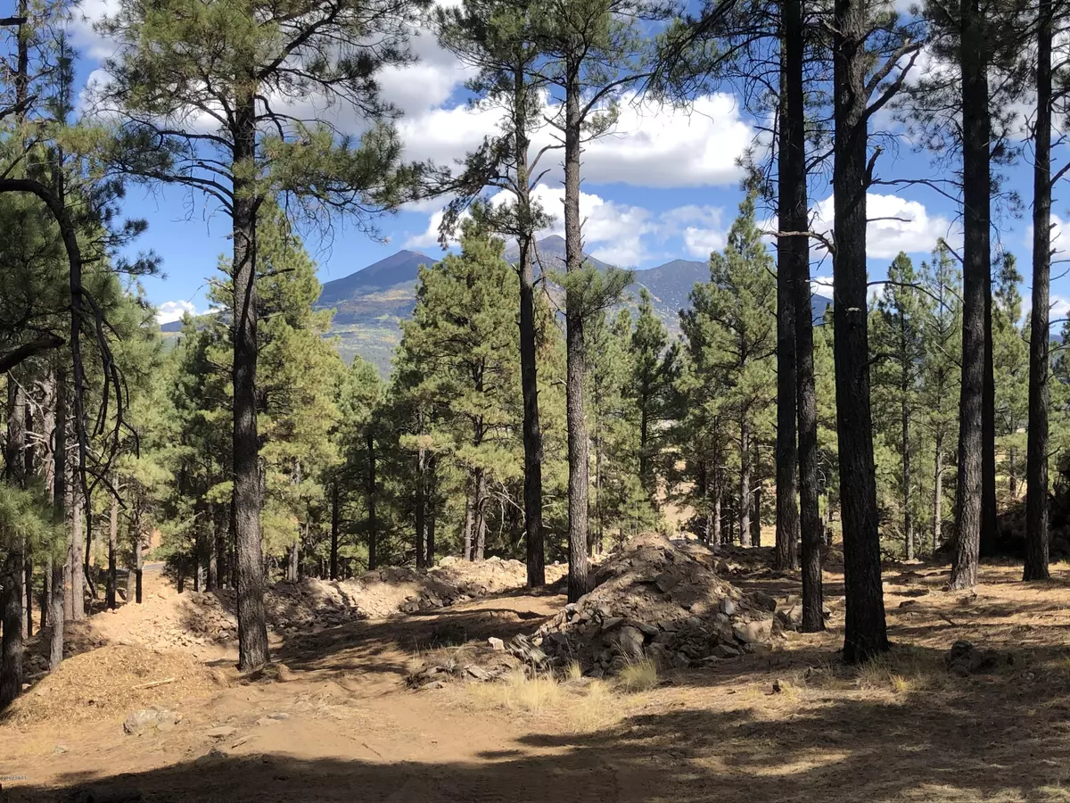 Flagstaff, AZ 86001,0 Coyote Pass Rd, parcel 1 -- #A