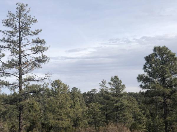 Overgaard, AZ 85933,3350 Sawmill Ridge Loop #129