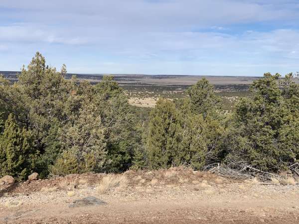 0 County Road N3219 -- #29-E, Vernon, AZ 85940