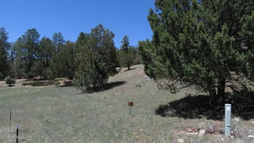 83 Memory Lane #83, Christopher Creek, AZ 85541