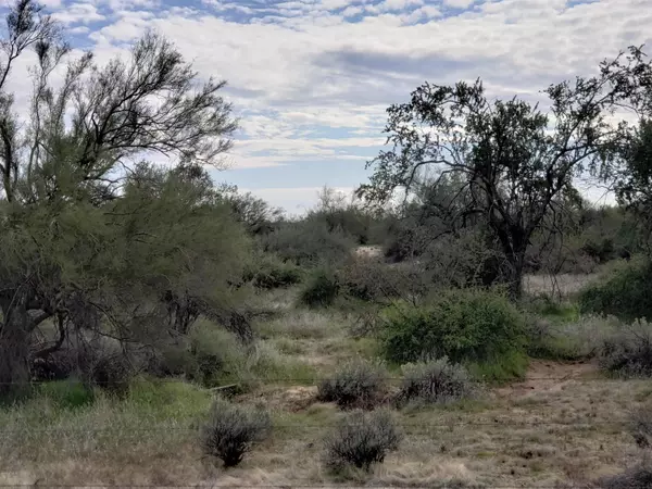 Scottsdale, AZ 85262,296 N 160th Street #-