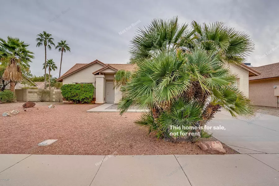 3981 W SARAGOSA Street, Chandler, AZ 85226