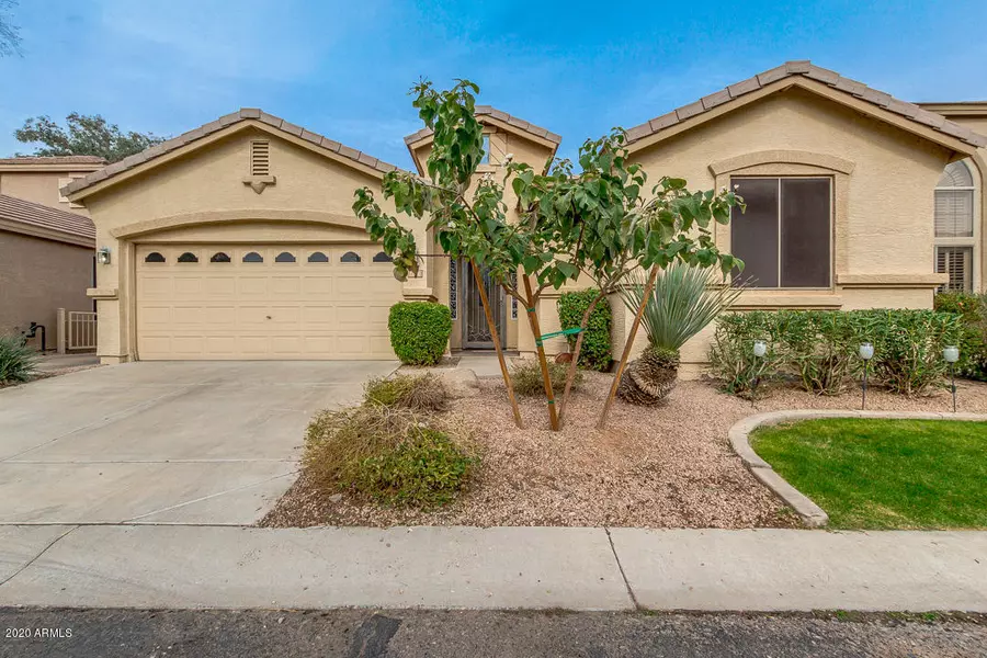 1818 W Orchid Lane, Chandler, AZ 85224