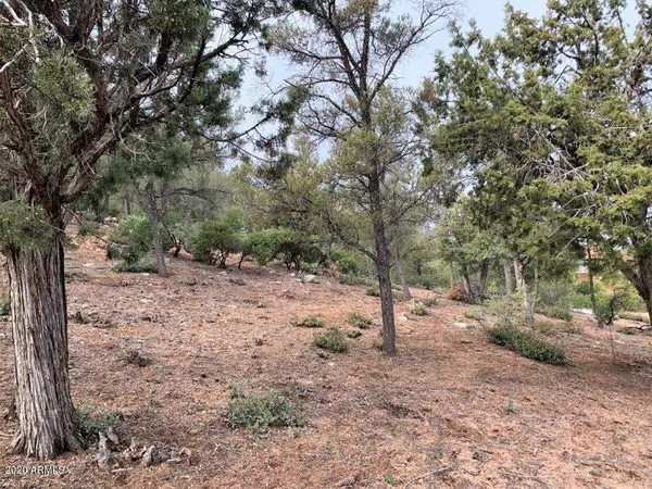 Payson, AZ 85541,1102 S Milk Ranch Point #92