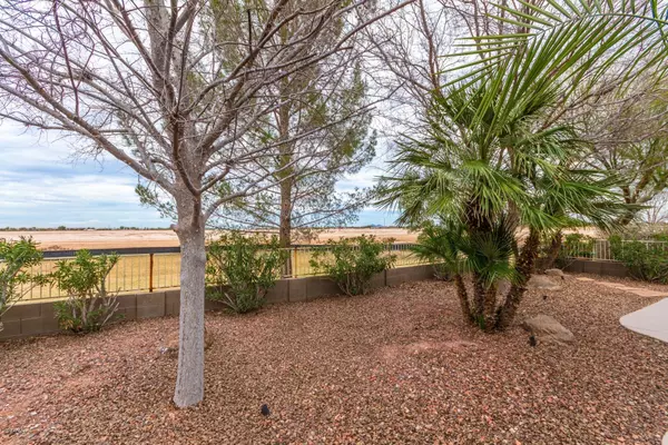 Maricopa, AZ 85138,20513 N LEMON DROP Drive