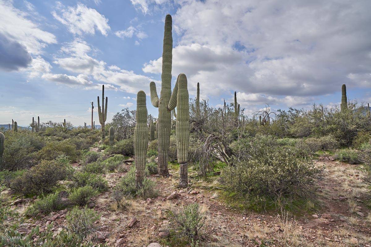 Gold Canyon, AZ 85118,10794 E CLOUDVIEW Avenue #031 D