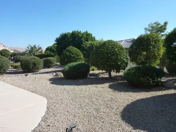 Surprise, AZ 85374,15843 W CISA RIO Lane