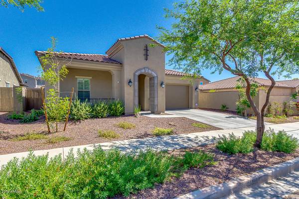 Buckeye, AZ 85396,20438 W PARK MEADOWS Drive