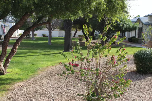 Sun City West, AZ 85375,13621 W BOLERO Drive