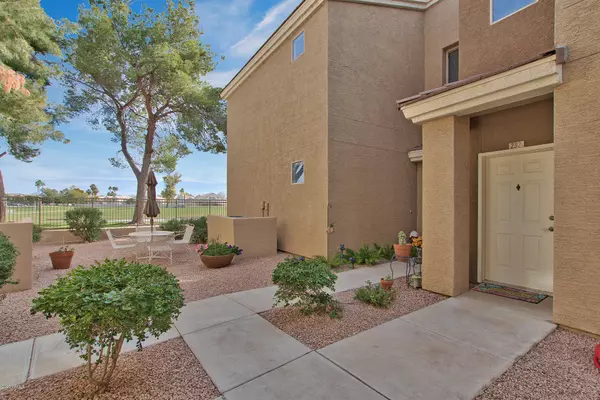 Mesa, AZ 85203,1335 E JUNE Street #232