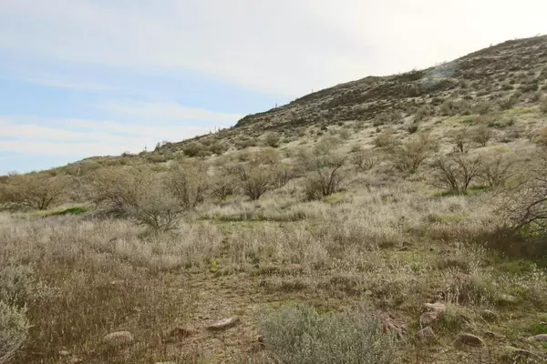 New River, AZ 85087,0 E Circle Mountain Road #-