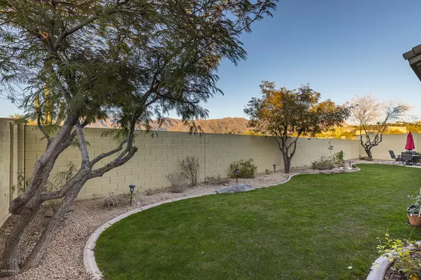 Gold Canyon, AZ 85118,8542 E TWISTED LEAF Drive