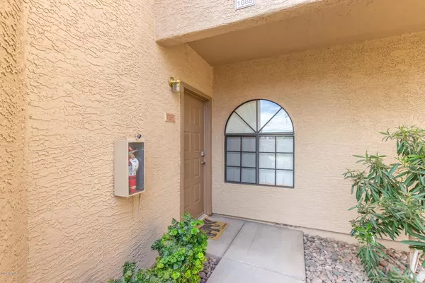 Mesa, AZ 85201,930 N MESA Drive #1088