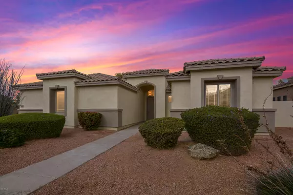 782 W RAVEN Drive, Chandler, AZ 85286