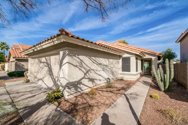 Chandler, AZ 85224,2550 W PARK Avenue