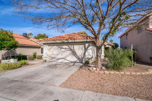 Chandler, AZ 85224,2550 W PARK Avenue