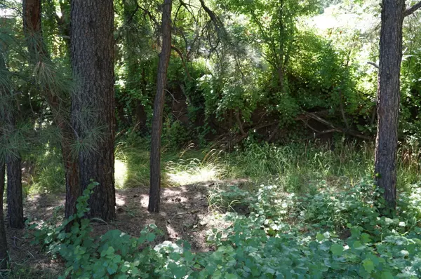 Payson, AZ 85541,36 S Blackfoot Road #36