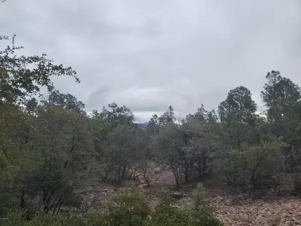 Payson, AZ 85541,711 N Foothills East Circle #-