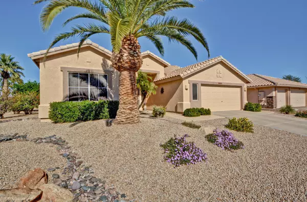 Peoria, AZ 85382,8310 W TONTO Lane