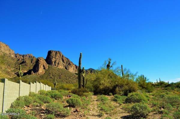 Apache Junction, AZ 85119,1497 N HOLMES Road #-