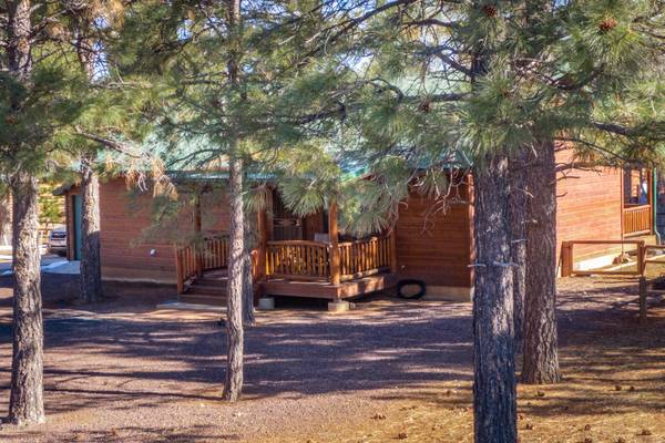 Overgaard, AZ 85933,2688 PALOMINO Trail