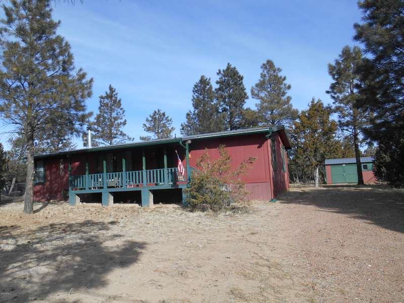 3152 Tonto Drive, Overgaard, AZ 85933