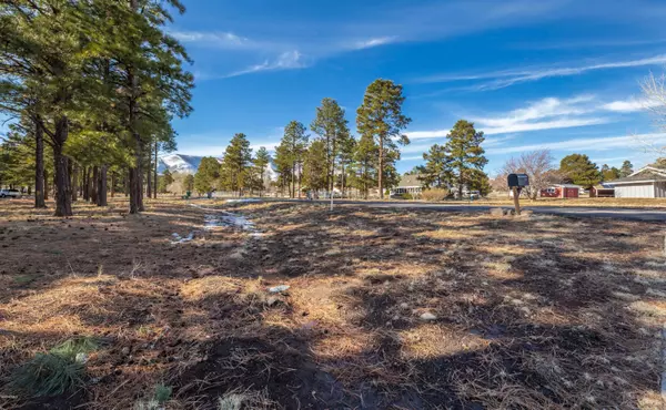 Flagstaff, AZ 86004,4920 PAINTBRUSH Lane