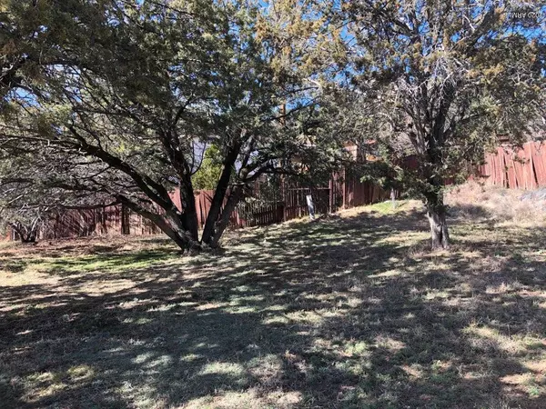 Payson, AZ 85541,312 W MCKAMEY Street