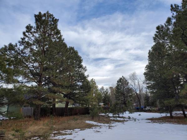 Pinetop, AZ 85935,4971 Buck Spring Drive #248