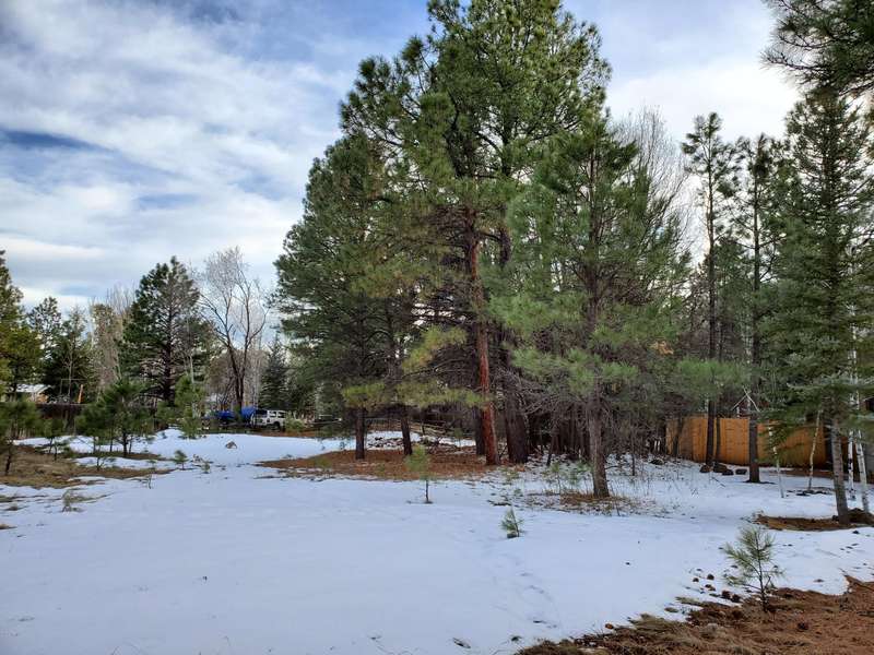 4971 Buck Spring Drive #248, Pinetop, AZ 85935