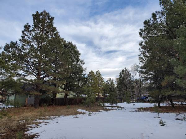 Pinetop, AZ 85935,4971 Buck Spring Drive #248