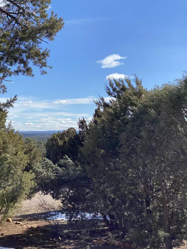 Heber, AZ 85928,3436 High Country Drive