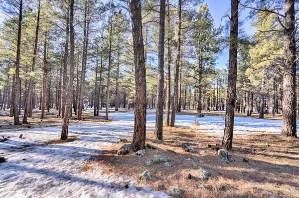 Flagstaff, AZ 86001,8400 N ROUNDTREE Road #-