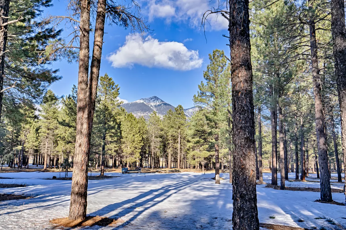 Flagstaff, AZ 86001,8400 N ROUNDTREE Road #-