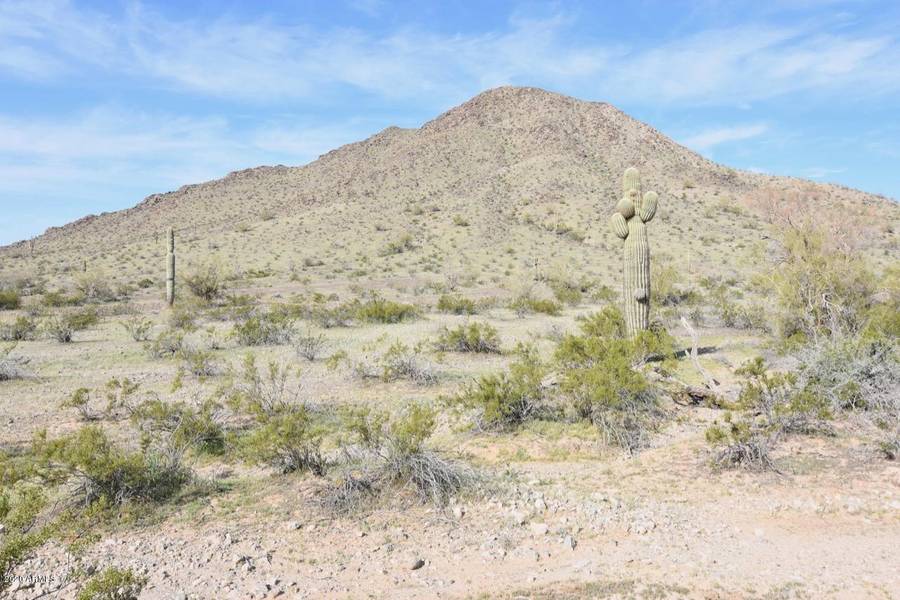 50200 Government Mine Road #-, Salome, AZ 85348