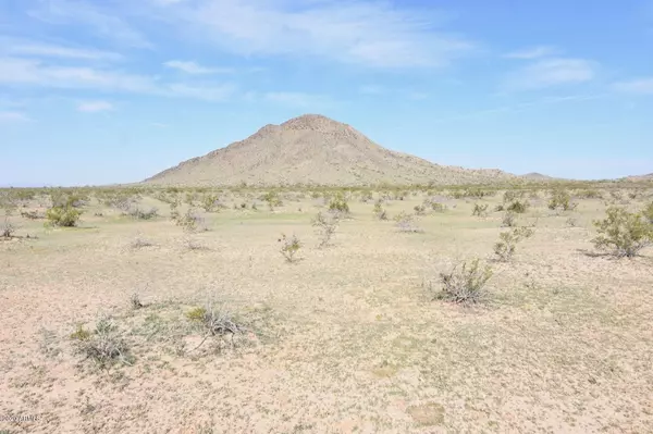 Salome, AZ 85348,50150 GOVERNMENT MINE Road #-