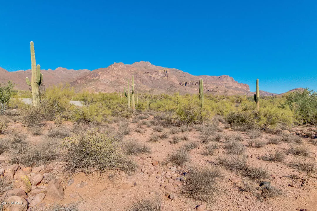 Gold Canyon, AZ 85118,0 S Buckboard Road #2