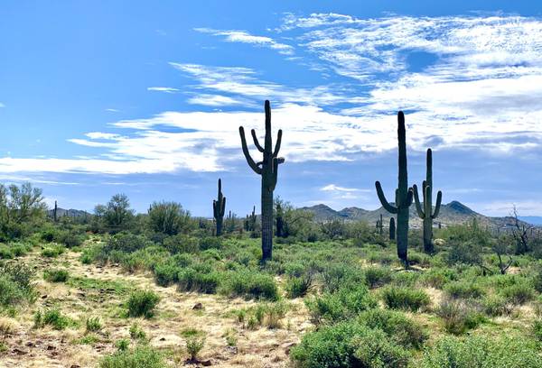 6975 E GRAND VIEW Lane #103, Apache Junction, AZ 85119