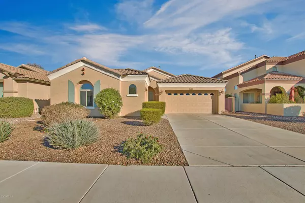 Chandler, AZ 85286,2064 E Locust Drive