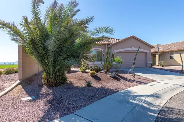 Buckeye, AZ 85326,24703 W DOVE PEAK --