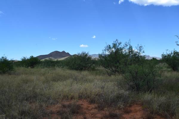 Huachuca City, AZ 85616,W El Rancho Boulevard #-