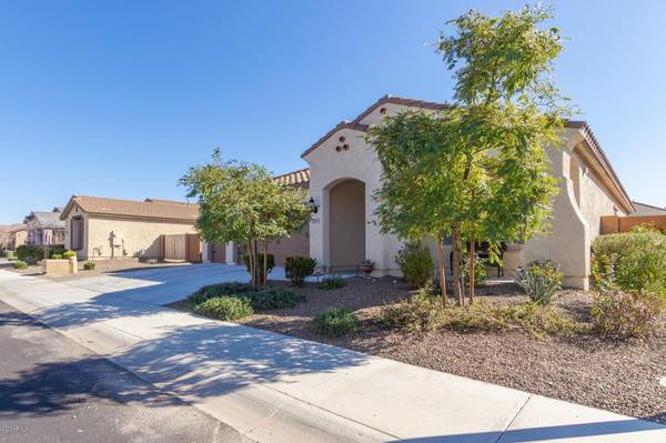 Buckeye, AZ 85396,25973 W ESCUDA Drive