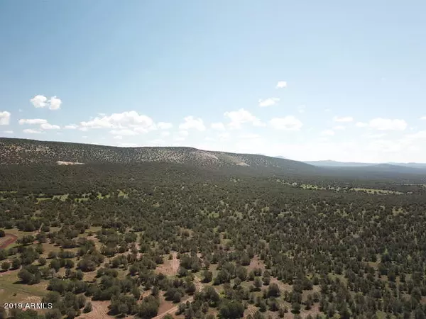 Ash Fork, AZ 86320,4167 N QUARRY Road #120