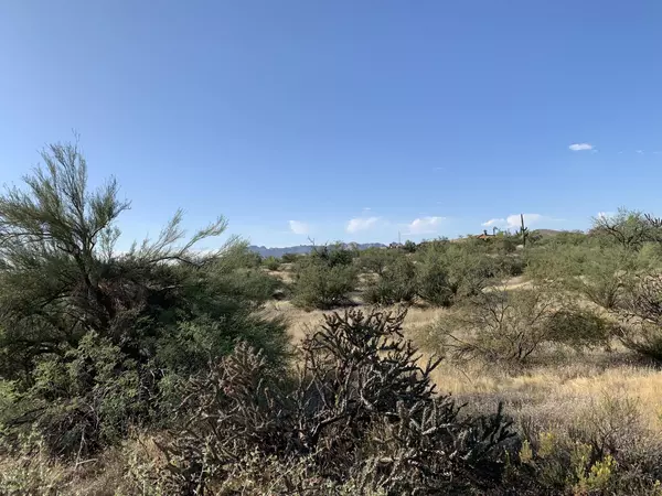 Scottsdale, AZ 85262,13733 E Ashler Hills Drive #9