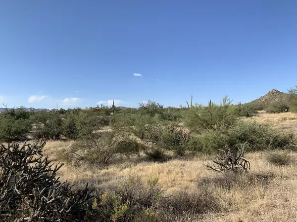 Scottsdale, AZ 85262,13733 E Ashler Hills Drive #9