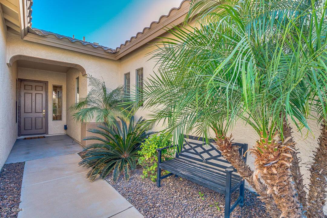 Litchfield Park, AZ 85340,13259 W MULBERRY Drive