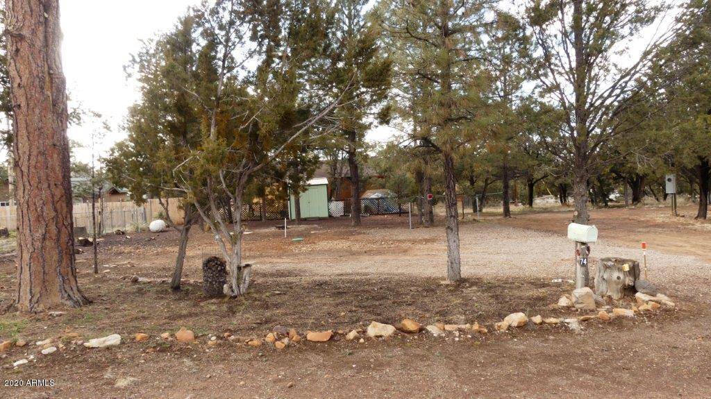 3386 BUCKSKIN Road #74, Overgaard, AZ 85933