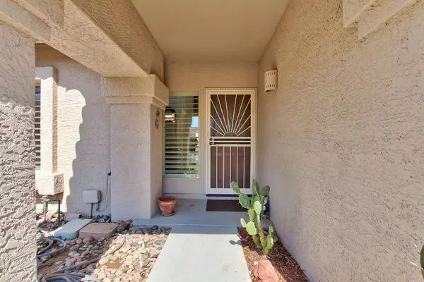 Scottsdale, AZ 85258,9105 N 105TH Place