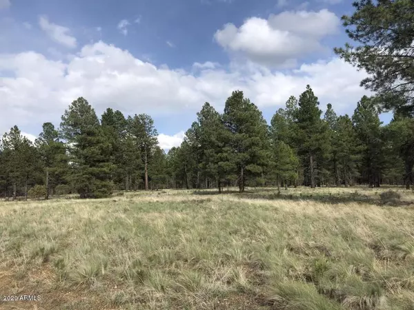 Flagstaff, AZ 86005,5451 S Cassandra Boulevard #-