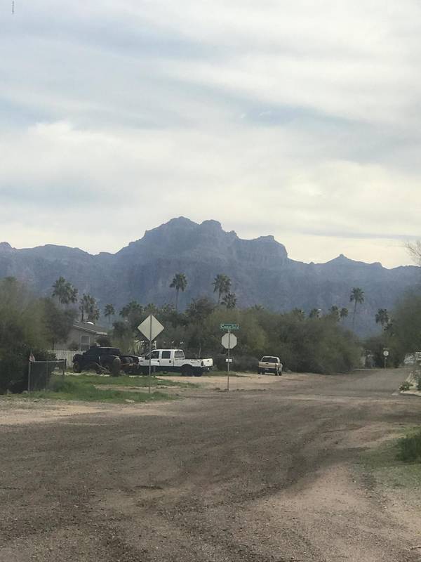 Apache Junction, AZ 85120,3000 W Mockingbird (Approx) Street #-